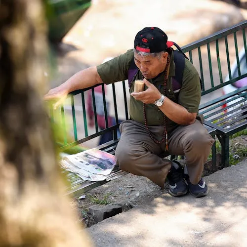 Trần Thị Lan